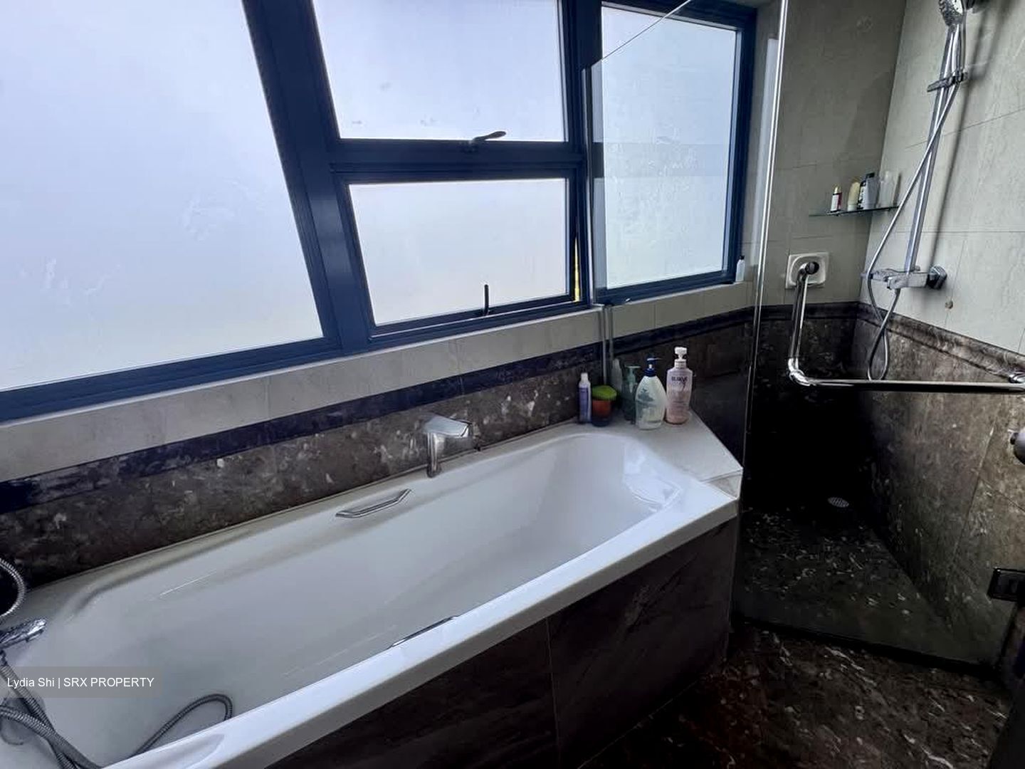 Sanctuary Green (D15), Condominium #628474181